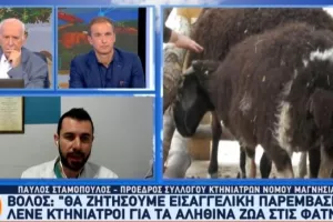 O Μπέος έβαλε ζωντανά ζώα σε φάτνες και βρίζει όσους αντιδρούν