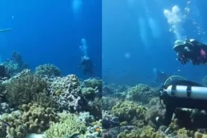 Σπάνιο στιγμιότυπο δείχνει τι συμβαίνει στον βυθό της θάλασσας όταν γίνεται σεισμός (βίντεο)