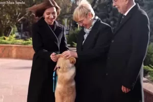 Ο σκύλος της Μολδαβής προέδρου δάγκωσε τον πρόεδρο της Αυστρίας (Βίντεο)