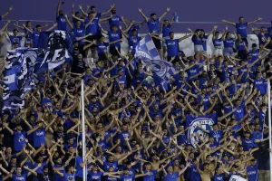 ΓΑΛΑΖΙΟ Δασάκι