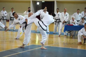 Εθνικό Πρωτάθλημα Κυπριακής Ομοσπονδίας Παραδοσιακού Taekwon-do