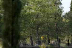Φώτος από το “Quantum Nicosia Marathon 2023”