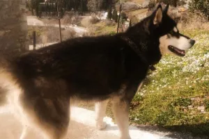 Καταιγιστικές εξελίξεις με τον Όλιβερ στην Αράχωβα – Η κατάθεση που θα ανατρέψει τα δεδομένα 