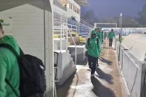 Δασάκι και… μένει