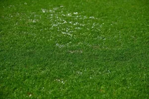 ΑΠΟΕΛ-Καρμιώτισσα: Το φωτορεπορτάζ της... αναβολής