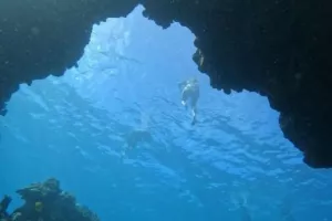 Η Σάρα φωτογραφήθηκε στον βυθό της θάλασσας με ένα χταπόδι