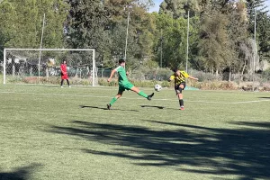 Επίλεκτη Κατηγορία/Οι ομάδες που βρίσκονται στις θέσεις ανόδου (Πίνακας)