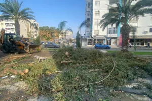 Ανεμοστρόβιλος έπληξε τη Λεμεσό (Βίντεο)