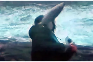 Βγήκε στον αέρα να πει τον καιρό και τον χτύπησε «ιπτάμενο» ψάρι – Η απολαυστική αντίδρασή του