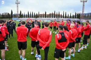 Willy Sagnol/AΠΟΕΛ