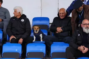 Εθνικός - Νέα Σαλαμίνα: Την νίκησε... και την προσπέρασε! (Φώτος)