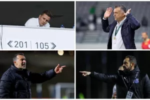 Οι καλύτεροι... σκακιστές;