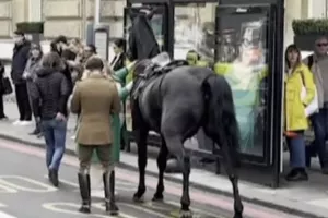 Σε σοβαρή κατάσταση δύο από τα άλογα που έτρεχαν ανεξέλεγκτα στο κέντρο του Λονδίνου
