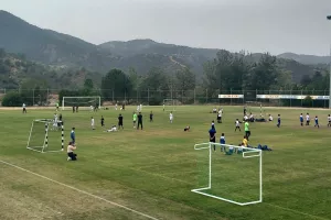 Δράση στη Σολέα (ΦΩΤΟΣ)