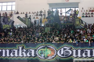 Δυναμική παρουσία (Φώτος)