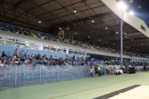 Φωτορεπορτάζ από το "ΕΚΟ Cyprus International Athletics Meeting"
