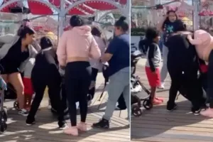 Άγριο ξύλο μαμάδων στην Ντίσνεϊλαντ της Καλιφόρνια (βίντεο)