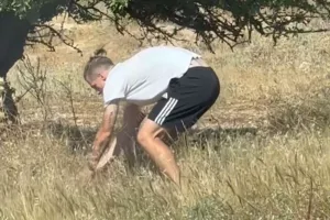 Ο Γεντβάι απομάκρυνε μία χελώνα από τη μέση του δρόμου για να μην την χτυπήσει κάποιο αυτοκίνητο