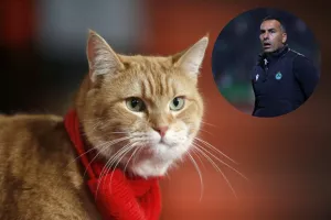 Με κάττο…   
