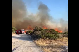 Υπό έλεγχο η πυρκαγιά στη Λεμεσό (UPD)