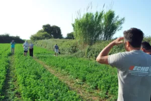 Δολοφονία στην Ηλεία: Πειθαρχικός έλεγχος για τους δικαστές που άφησαν ελεύθερο τον 37χρονο
