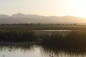 Νόμιζαν ότι πτώμα αλλά ήταν... μεθυσμένος εργάτης!