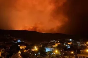 Πύρινη κόλαση στην Τουρκία: Έξι νεκροί και 44 τραυματίες από μεγάλη αγροτική πυρκαγιά