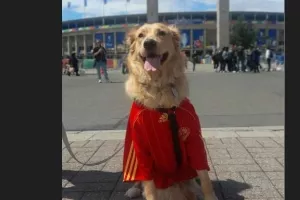 Ωραίος... ο φίλος!