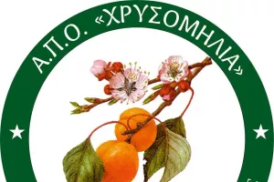 Άσχημο νέο/Αναστολή λειτουργίας της ομάδας γυναικών
