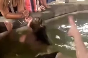 Τουρίστρια βούτηξε τόπλες σε σιντριβάνι της Φλωρεντίας (βίντεο)