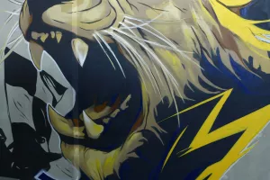 Μπουτίκ: Face painting-season ticket (Φώτος)