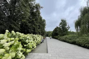 Πρώτες εικόνες/Βίλνιους 