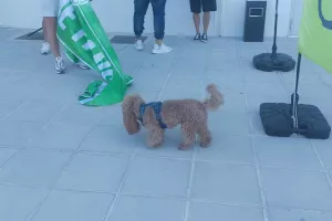 Γλυκιά... επίσκεψη! (Φώτος Kerkida)