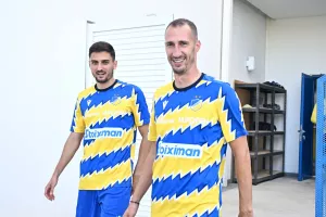 Στέλνει ο Λαίφης, τον Πέτροβιτς στα χαφ;