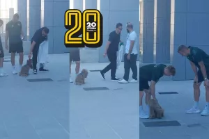 Γλυκιά... επίσκεψη! (Φώτος Kerkida)