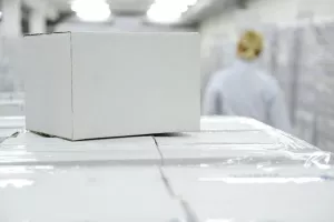 Οι γερμανικές αρχές προειδοποιούν για εμπρηστικούς μηχανισμούς σε πακέτα