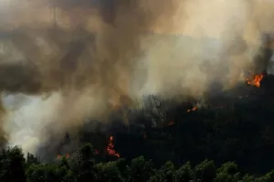 Πυρκαγιές στην Πορτογαλία: Περισσότερες από 40 ενεργές εστίες