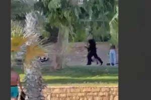 (ΒΙΝΤΕΟ) Η στιγμή της σύλληψης του "κομμωτή"