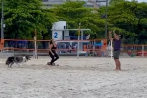 Όταν έχεις εκπαιδεύσει το σκύλο σου να παίζει beach volley