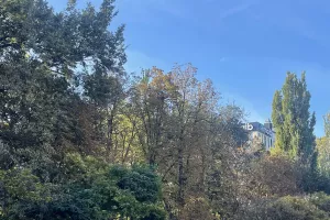 Κισινάου: Με ήλιο, αλλά κάνει κρύο 