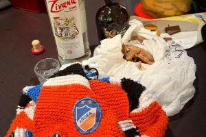 Ζιβανία και... τσιλλίματα!
