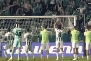 "Πράσινες" βραδιές 