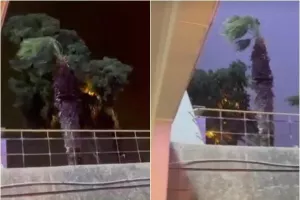 (ΒΙΝΤΕΟ) Η στιγμή που... ξεριζώθηκε δέντρο στο "Στ. Κυριακίδης"!