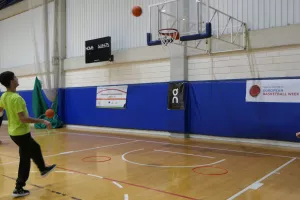 Ενοποιημένη ημερίδα καλαθόσφαιρας