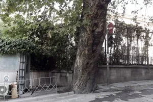 Θεσσαλονίκη: Βόμβες μολότοφ σε αστυνομικές δυνάμεις έξω από το τουρκικό προξενείο