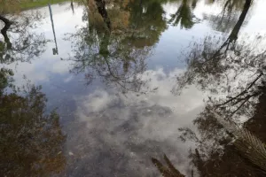  Σε "λίμνη" μετατράπηκε ο περιβάλλοντας χώρος του ΣΕΦ