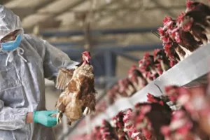 Πρώτος θάνατος ανθρώπου εξαιτίας της γρίπης των πτηνών στη Λουιζιάνα