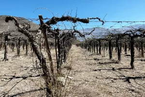 Οι ακραίες ξηρασίες αναμένεται να γίνουν πιο συχνές, σοβαρές και εκτεταμένες