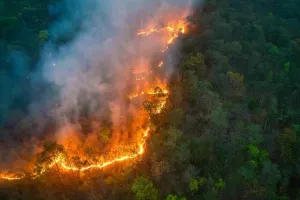 Βραζιλία: Τρομακτική αύξηση 79% στις επιφάνειες με βλάστηση που κάηκαν εξαιτίας πυρκαγιών το 2024