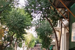 Χιλιάδες κόσμου στις εκδηλώσεις